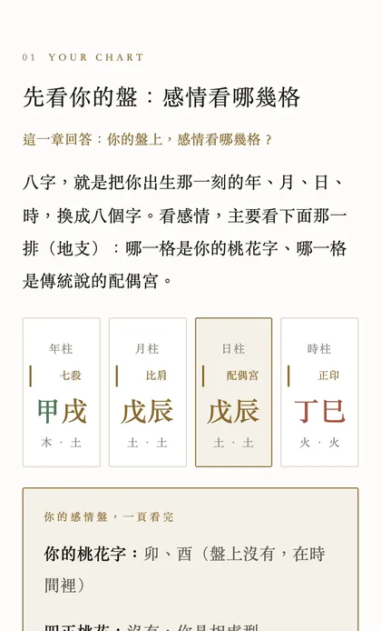 範例報告第 1 章：先看你的盤